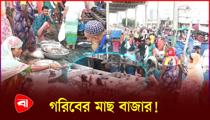 দেশের সবচেয়ে সস্তা মাছের বাজার, মেলে ১০ টাকার মাছ!