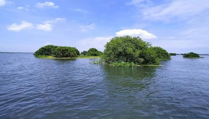 হাওর সেজেছে নবরূপে