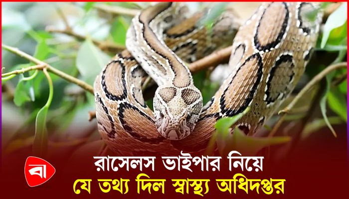 সাপের কামড়ে চলতি বছরের জুলাই পর্যন্ত ৩৮ জনের মৃত্যু