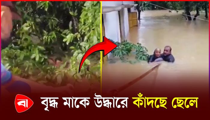 বন্যার পানিতে ভাসছে মানুষ