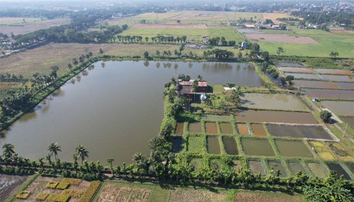 ধানের চারা নিয়ে বন্যাদুর্গত কৃষকদের পাশে