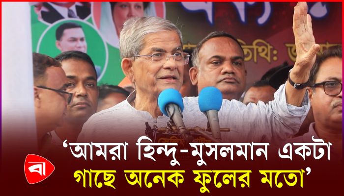 ঠাকুরগাঁওয়ে বঙ্গবন্ধুর ম্যুরাল নিয়ে যা বললেন বিএনপি
