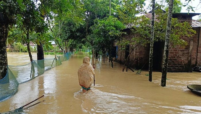 কমলগঞ্জে পাহাড়ি ঢল ও টানা বৃষ্টিতে ২৫ গ্রাম প্লাবিত