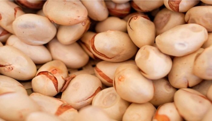 কাঁঠাল বিচিতে আছে যে পুষ্টিগুণ