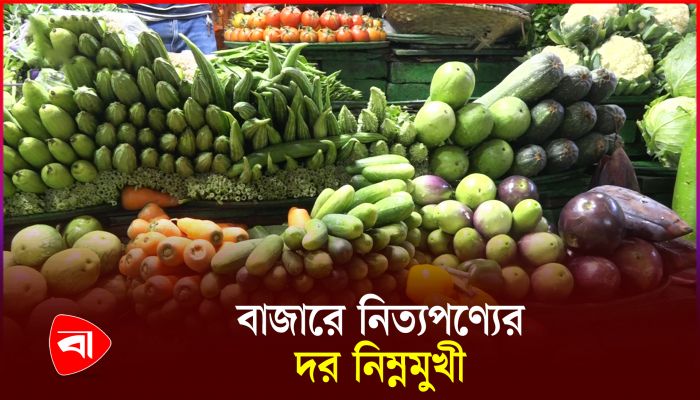 মাছ মাংস সবজির দাম কমায় স্বস্তিতে ক্রেতা