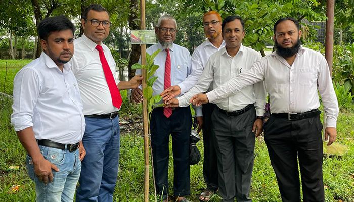 আল আরাফাহ ইসলামী ব্যাংক পিএলসি চান্দিনা শাখার পক্ষ থেকে ‘বৃক্ষরোপণ কর্মসূচি-২০২৪’ পালন করা হয়। প্রবা ফটো