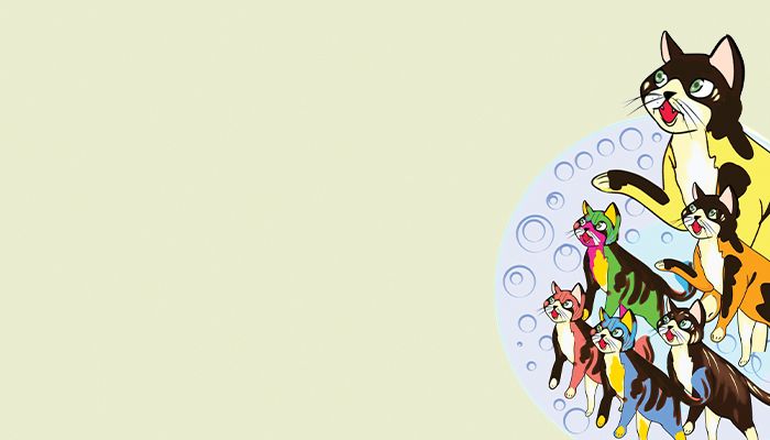 ছয়টা বিড়াল ছয় রকমের