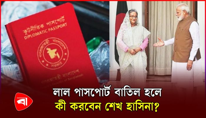 পাসপোর্ট বাতিল হলে শেখ হাসিনার জন্য 'প্ল্যান বি' আছে ভারতের
