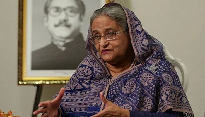 কোন ‘স্ট্যাটাসে’ ভারতে রয়েছেন শেখ হাসিনা?