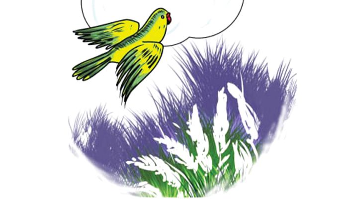 প্রিয় শরৎ 