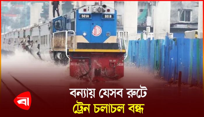 ঢাকা-সিলেট ও ঢাকা-চট্টগ্রাম পথে ট্রেন চলাচল বন্ধ