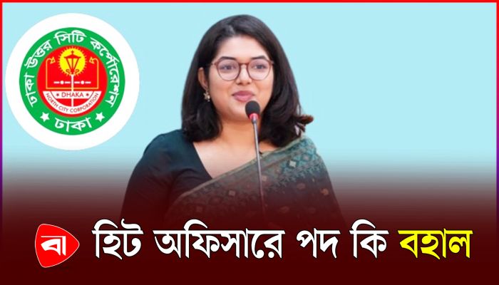 চিফ হিট অফিসার কোথায়