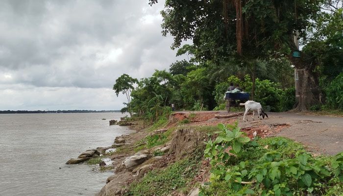 বিষখালী নদীর ভাঙনে বিলীনের পথে রামনা-ফুলঝুড়ি সড়ক