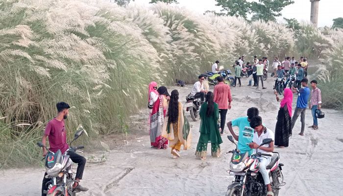  ব্রহ্মপুত্র নদের পাড়ে কাশফুল দেখতে আসা মানুষের ভিড়। সম্প্রতি হোসেনপুর উপজেলার ব্রহ্মপুত্র নদের সেতু এলাকা। প্রবা ফটো
