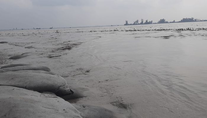 তিস্তায় ভাঙনের আশঙ্কা, দুশ্চিন্তায় নদীপাড়ের মানুষ