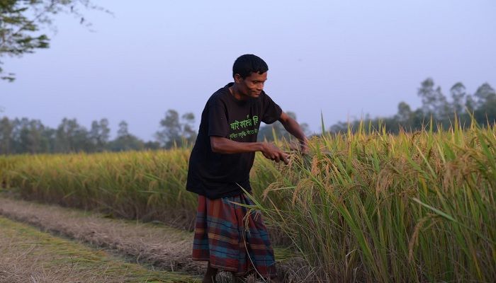 রেজার ক্যাপিটালের ‘সিরিজ এ’ বিনিয়োগ পেল আইফার্মার