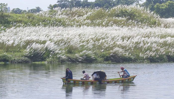শুভ্রতা ছড়াচ্ছে সারি ঘাটের সারি সারি কাশফুল