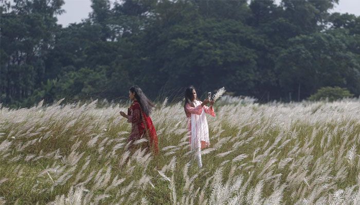 শুভ্রতা ছড়াচ্ছে সারি ঘাটের সারি সারি কাশফুল