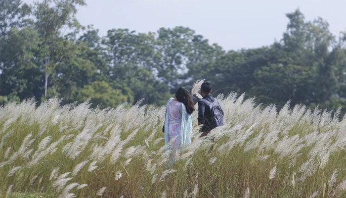 শুভ্রতা ছড়াচ্ছে সারি ঘাটের সারি সারি কাশফুল