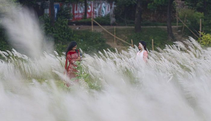 শুভ্রতা ছড়াচ্ছে সারি ঘাটের সারি সারি কাশফুল