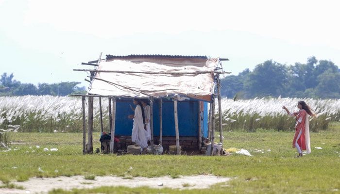 শুভ্রতা ছড়াচ্ছে সারি ঘাটের সারি সারি কাশফুল