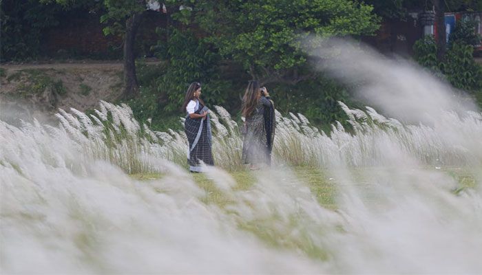 শুভ্রতা ছড়াচ্ছে সারি ঘাটের সারি সারি কাশফুল
