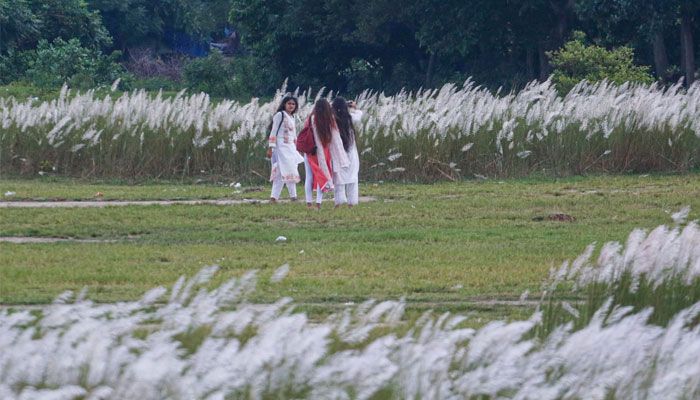 শুভ্রতা ছড়াচ্ছে সারি ঘাটের সারি সারি কাশফুল