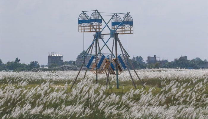 শুভ্রতা ছড়াচ্ছে সারি ঘাটের সারি সারি কাশফুল