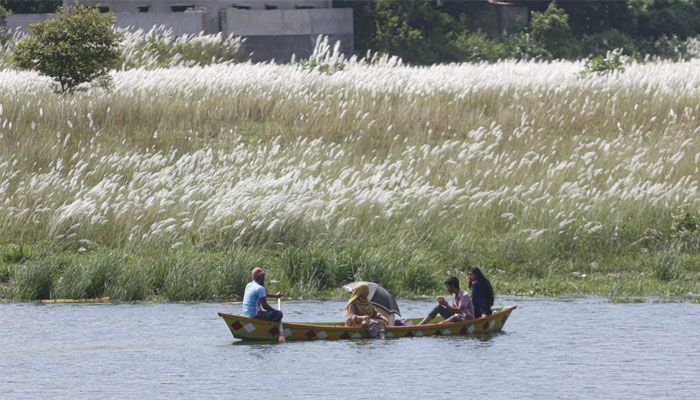 শুভ্রতা ছড়াচ্ছে সারি ঘাটের সারি সারি কাশফুল