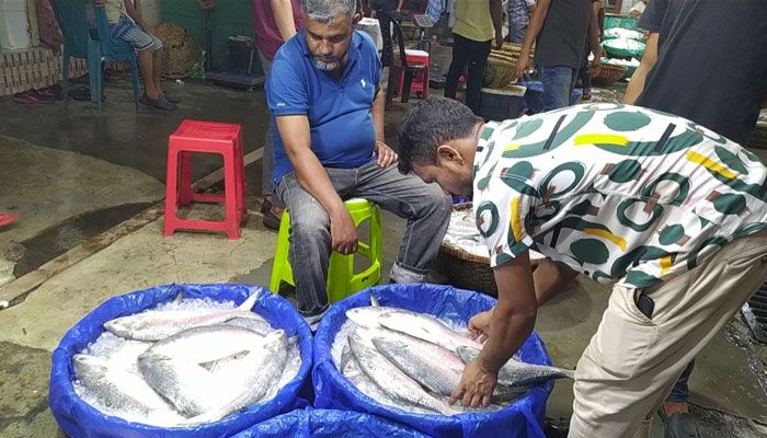 চাঁদপুরে ইলিশের দাম ঠিক হয় বিক্রেতার ইচ্ছায়