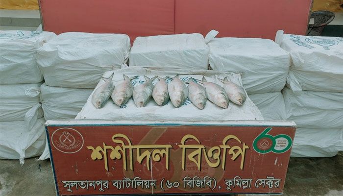 ভারতে পাচারকালে কুমিল্লা সীমান্তে ৪৪০ কেজি ইলিশ জব্দ