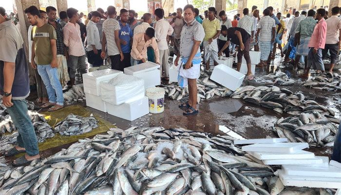 কক্সবাজারে ইলিশ ধরায় রেকর্ড, তবু দাম বেশি