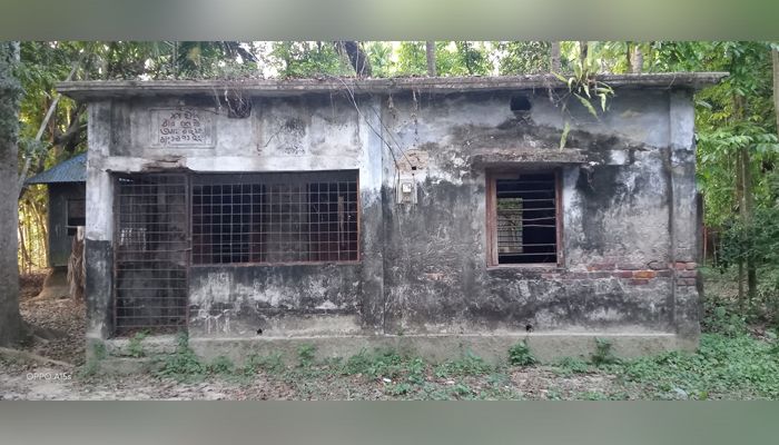 অযত্নে অবহেলায় চুরি হয়ে যাচ্ছে বসতবাড়ির দরজা-জানালা