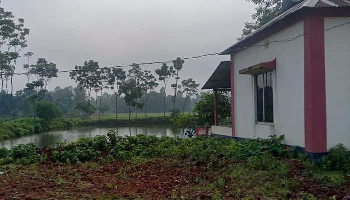 ময়মনসিংহের মুক্তাগাছার দরি কাঠবওলা গ্রামে এই মসজিদের জমি দখলের চেষ্টার অভিযোগ। প্রবা ফটো