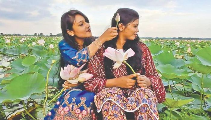 কিশোরগঞ্জের তাড়াইল উপজেলার দাঁড়ি জাহাঙ্গীর গ্রামের কাইনহা বিলের পদ্মফুলের সমারোহে দুই দর্শনার্থী। প্রবা ফটো