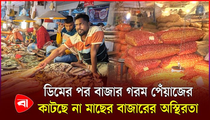 পেঁয়াজের দাম বেড়েছে ১৫ টাকা, নিয়ন্ত্রণে আসছে না মাছের বাজার