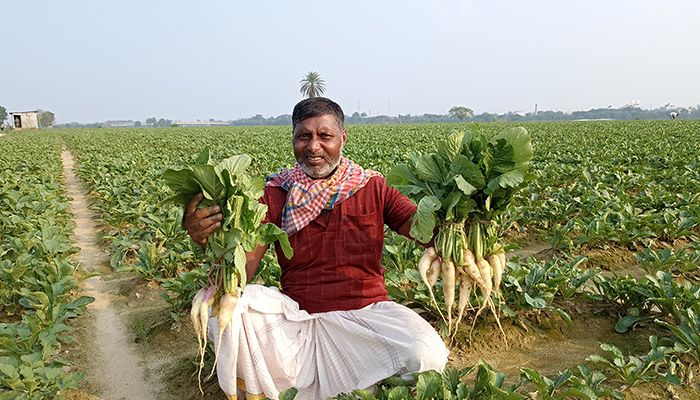 গোমতীর চরে কৃষকদের ঘুরে দাঁড়ানোর চেষ্টা