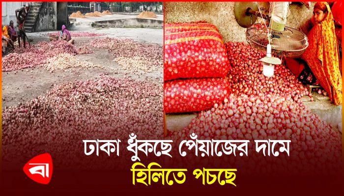 ঢাকায় ১৫০ টাকা আর হিলিতে ৩ টাকা পেঁয়াজ! 