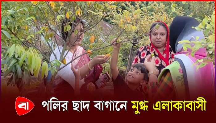 হাকিমপুরে নারী উদ্যোক্তা পলির ছাদবাগান নজর কেড়েছে এলাকাবাসীর