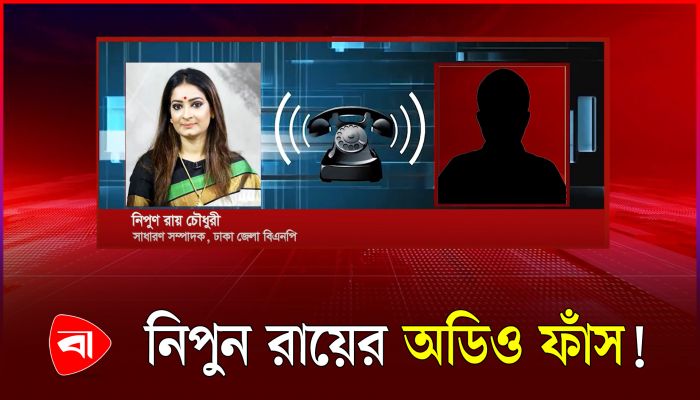 আওয়ামী লীগের নেতা-কর্মীদের ‘নিধন’ করার নির্দেশ নিপুন রায়ের!