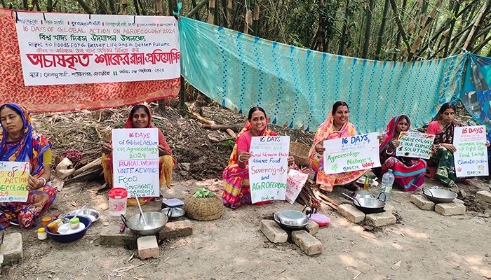অচাষকৃত শাকের রান্না প্রতিযোগিতা