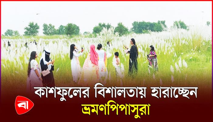 কাশফুলের সৌন্দর্য উপভোগে মেঘনাতীরে পর্যটকের ভিড়