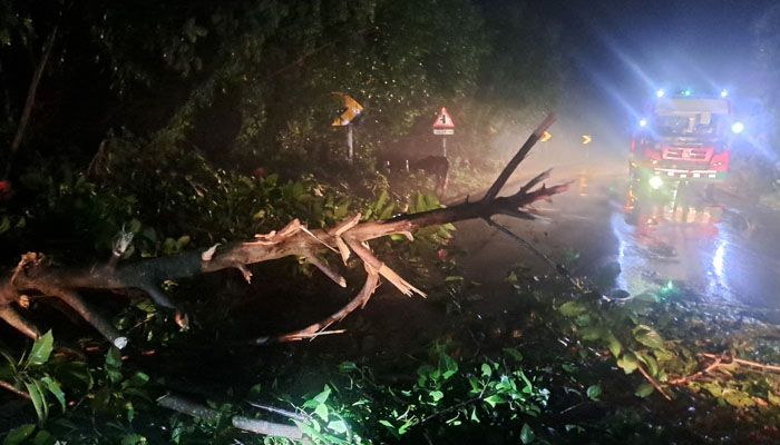 রাজবাড়ী-কুষ্টিয়া মহাসড়কে ডাকাতি, পুলিশী পদক্ষেপে রক্ষা পেল যাত্রীরা