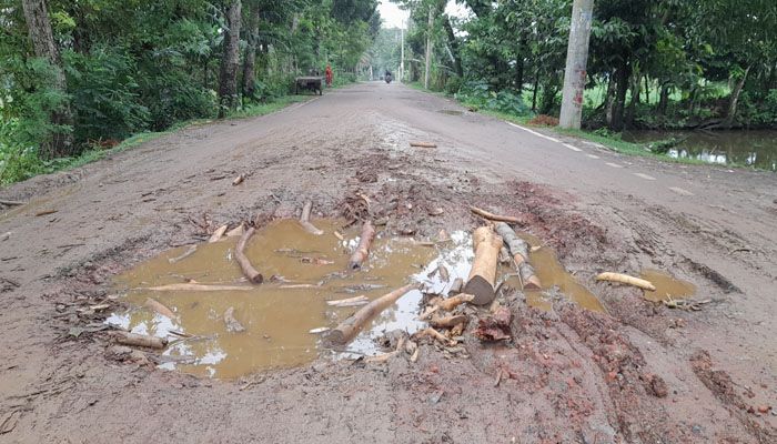 খানাখন্দে ভরা সড়কে দুর্ভোগ 