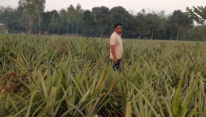 বাবার দেখানো পথে সফল