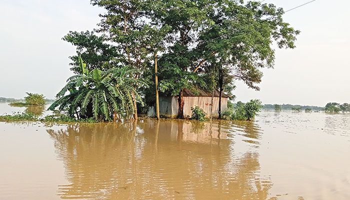 টানা বৃষ্টি ও পাহাড়ি ঢলে পানির নিচে নেত্রকোণার দুর্গাপুরের বাড়িঘর। মঙ্গলবার তোলা। প্রবা ফটো