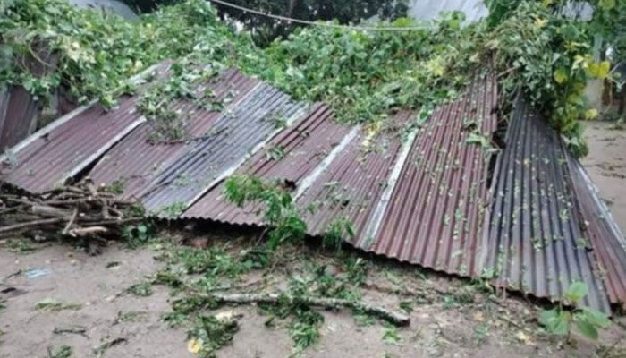 হোসেনপুরে ঝড়ে ১২ গ্রাম লন্ডভন্ড, বাড়িঘর-গাছপালা ও ফসলের ব্যাপক ক্ষতি
