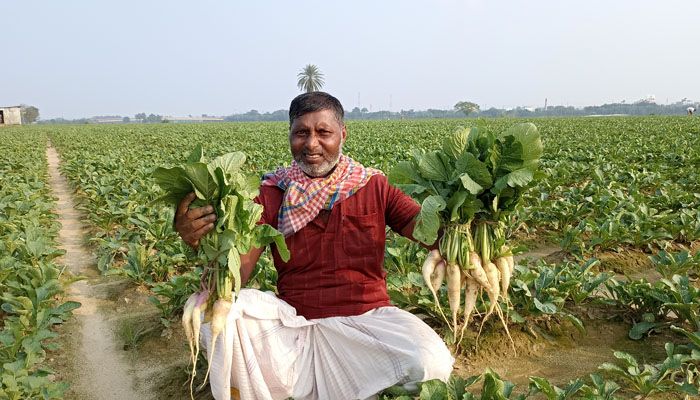 গোমতীর চরে কৃষকদের ঘুরে দাঁড়ানোর চেষ্টা