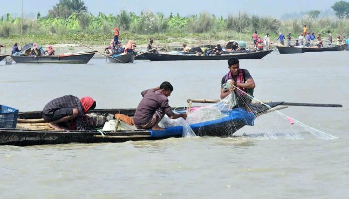নিষেধাজ্ঞা ভেঙে ইলিশ শিকার চলছেই