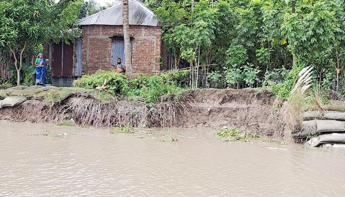 নবগঙ্গায় তীব্র ভাঙন দিশাহারা বাসিন্দারা